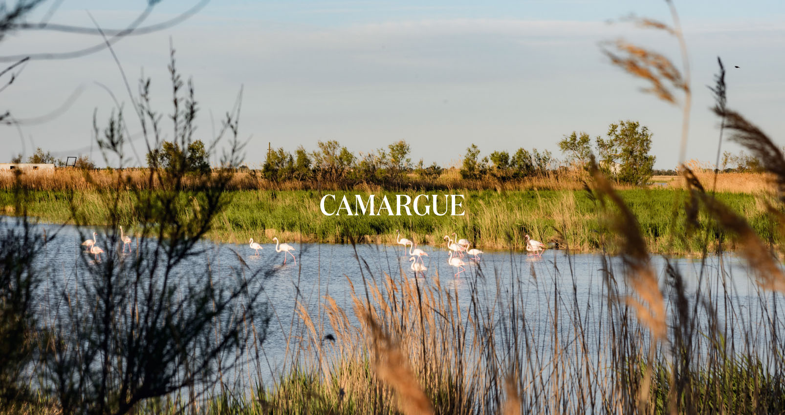 13 VB CARNET DE VOYAGE PART I DESKTOP
